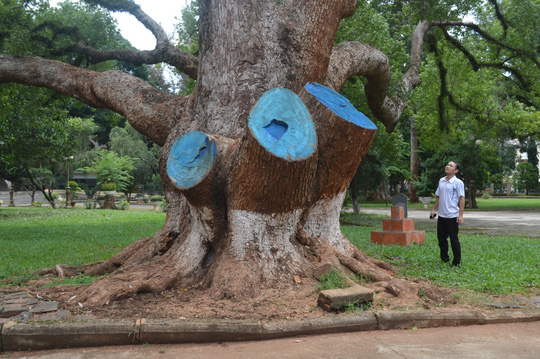 [-]Đắk[-]Lắk:[-]Cưa[-]cây[-]di[-]sản[-]vì...[-]sợ[-]lây[-]bệnh